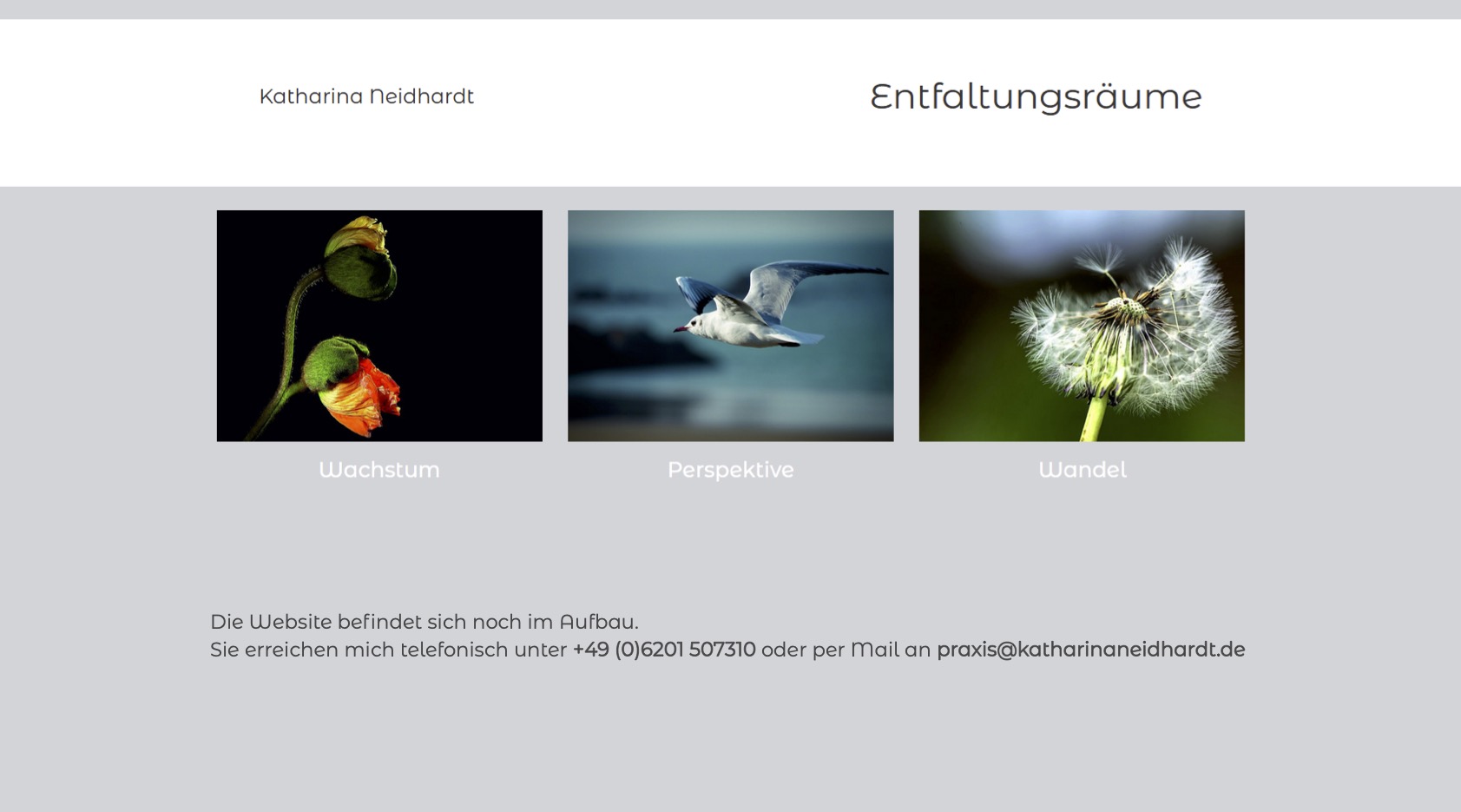 Meine Website befindet sich im Aufbau.